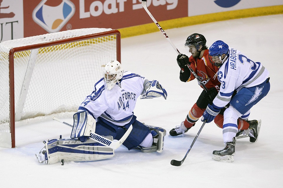 Les meilleurs livres sur le Hockey sur glace