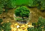 Ecologie